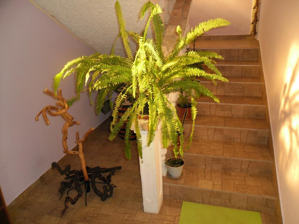 Apartmens Zara Apartamento Šibenik Habitación foto